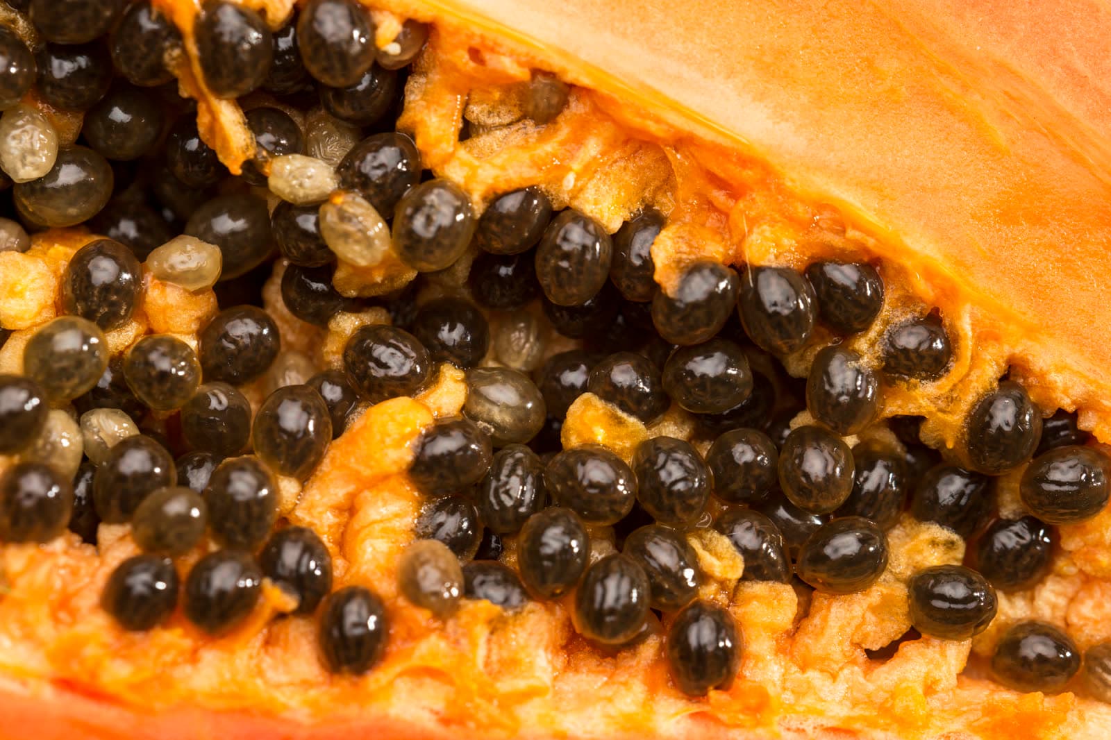 Papaya Seeds in Black Pepper: How to Spot the Fake